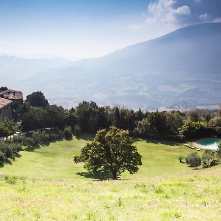 Agriturismo Paradiso41 Assisi Ngoại thất bức ảnh