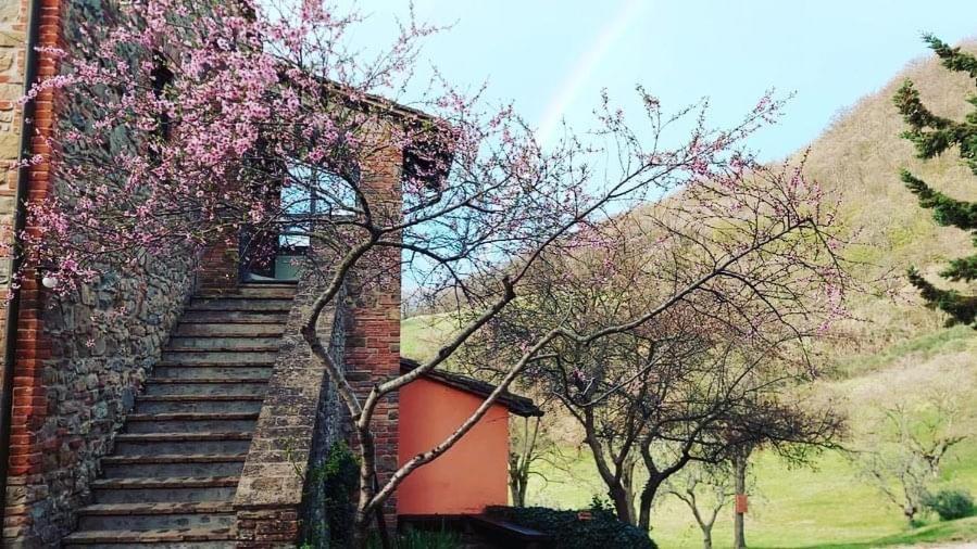Agriturismo Paradiso41 Assisi Ngoại thất bức ảnh
