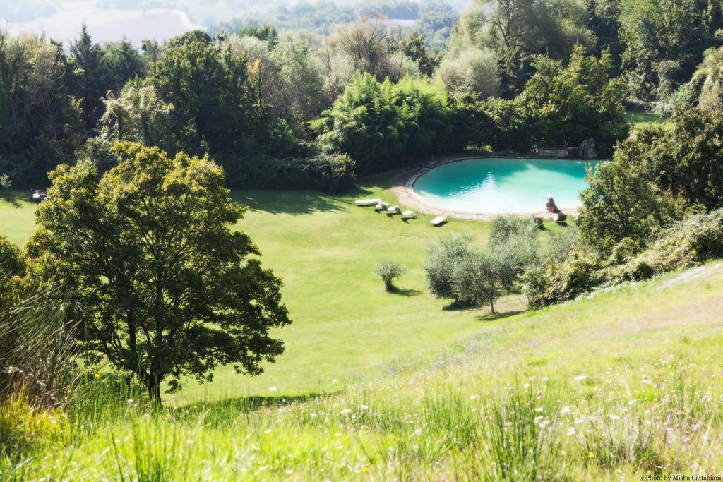Agriturismo Paradiso41 Assisi Ngoại thất bức ảnh