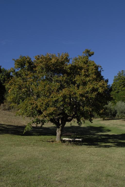 Agriturismo Paradiso41 Assisi Ngoại thất bức ảnh