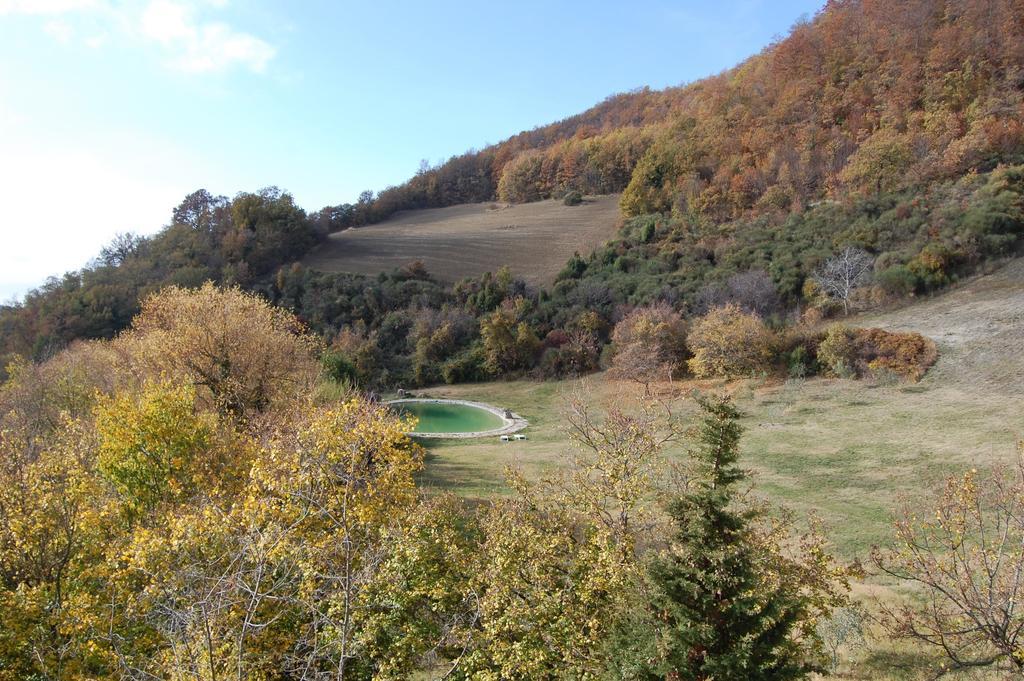Agriturismo Paradiso41 Assisi Ngoại thất bức ảnh