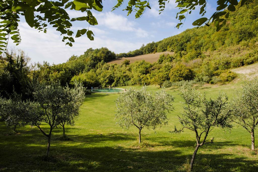 Agriturismo Paradiso41 Assisi Ngoại thất bức ảnh